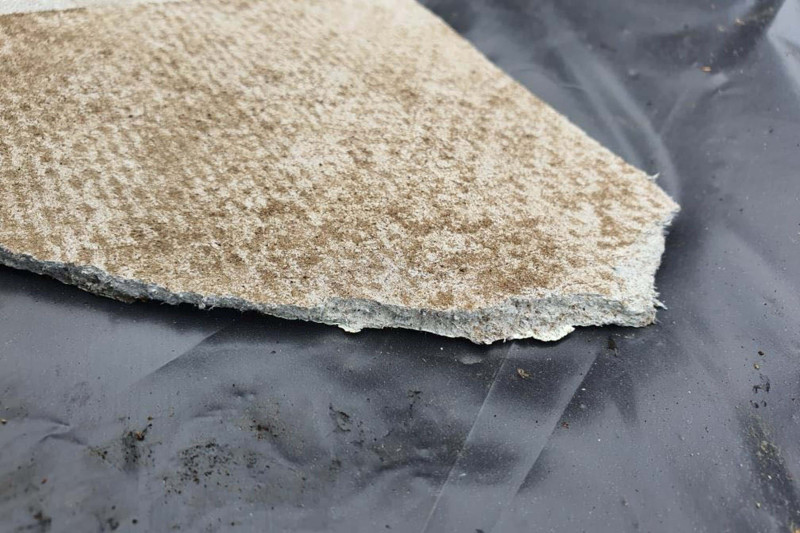 Asbestos